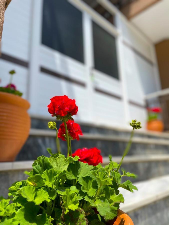 Thealos Inn Vrasná Eksteriør bilde